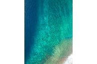 Reef and cliffs