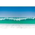 Green Wave