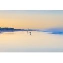 El Palmar dawn
