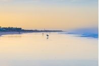 El Palmar dawn