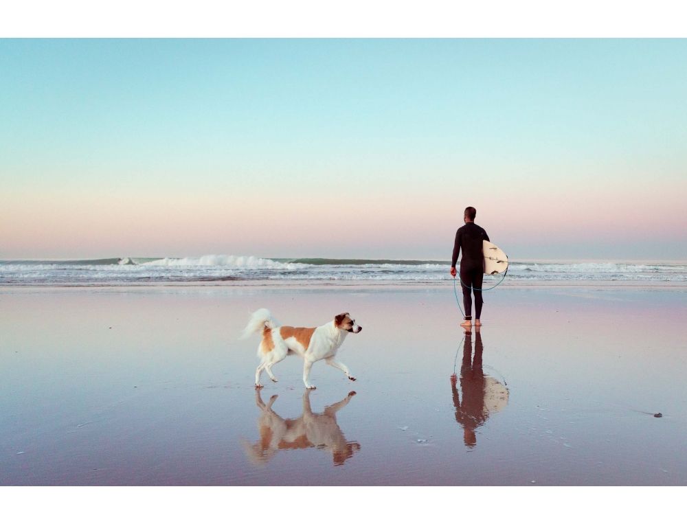 Mornings in Paradise