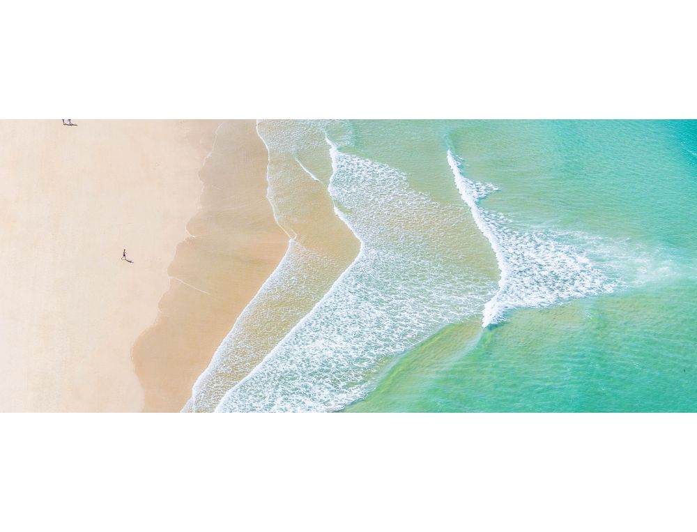 Single Swimmer