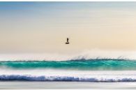Tarifa Inmensa