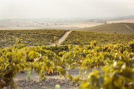 Carretera Sanlucar