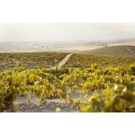 Carretera Sanlucar