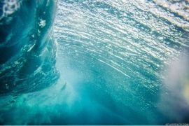 Vortex II