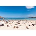 Beach days Bondi