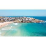 Ben Bukler & North Bondi