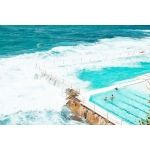 Bicolor pool