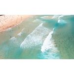 Beach days Bondi