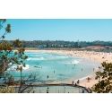 Planet Bondi