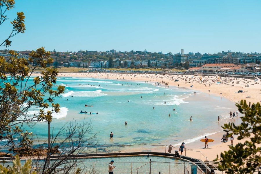 Planet Bondi