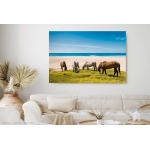 Horses I
