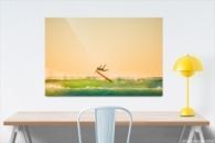 Flying Surfer