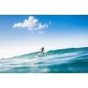 Surf is Life