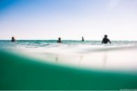 Surfers Line Up