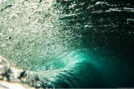 Vortex