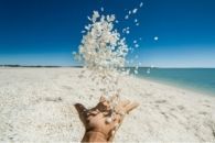 Shell Beach