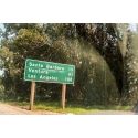California Sign