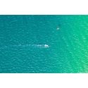 Horizontal Kiter