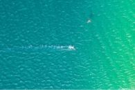 Horizontal Kiter