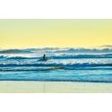 Ocean Beach Surfer