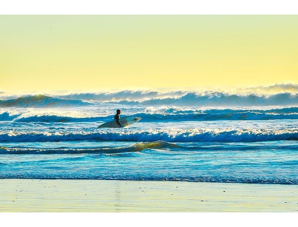 Ocean Beach Surfer