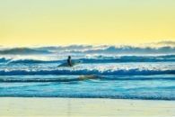Ocean Beach Surfer