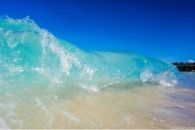 Jelly wave