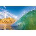 Trafalgar shorey