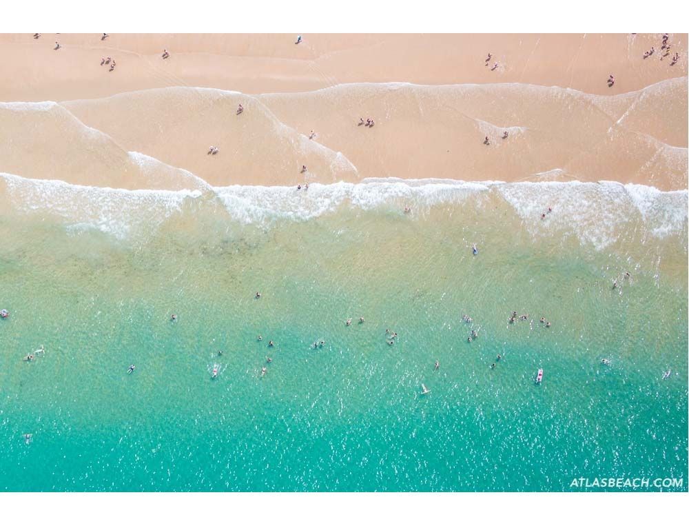 Swimmers